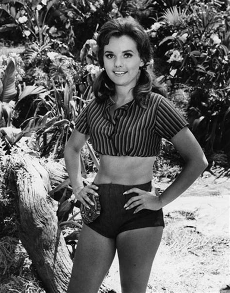 dawn wells bikini|1,012 Dawn Wells Photos & High Res Pictures